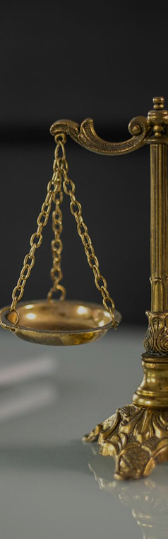 Law and Governance