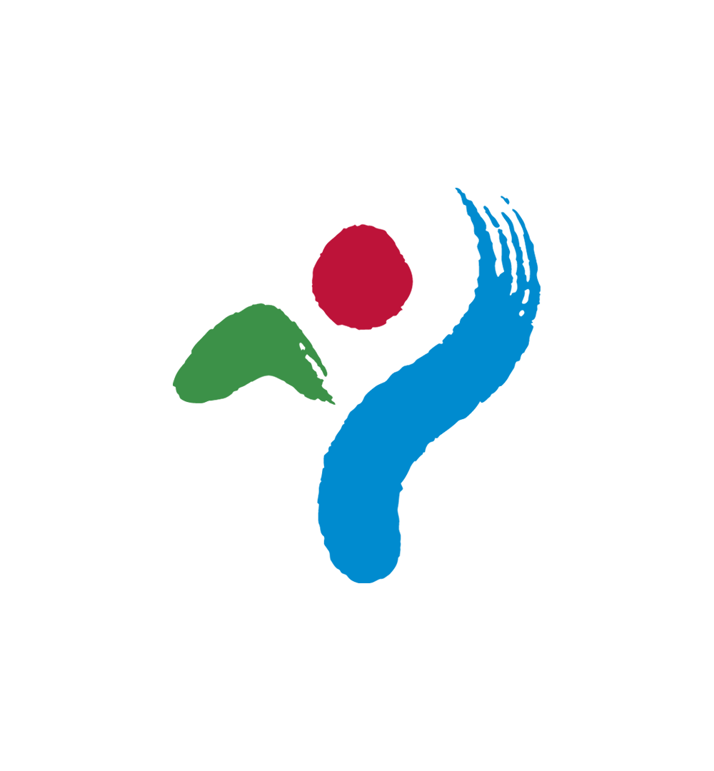 Pemerintah Seoul
