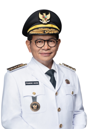 Pramono Anung